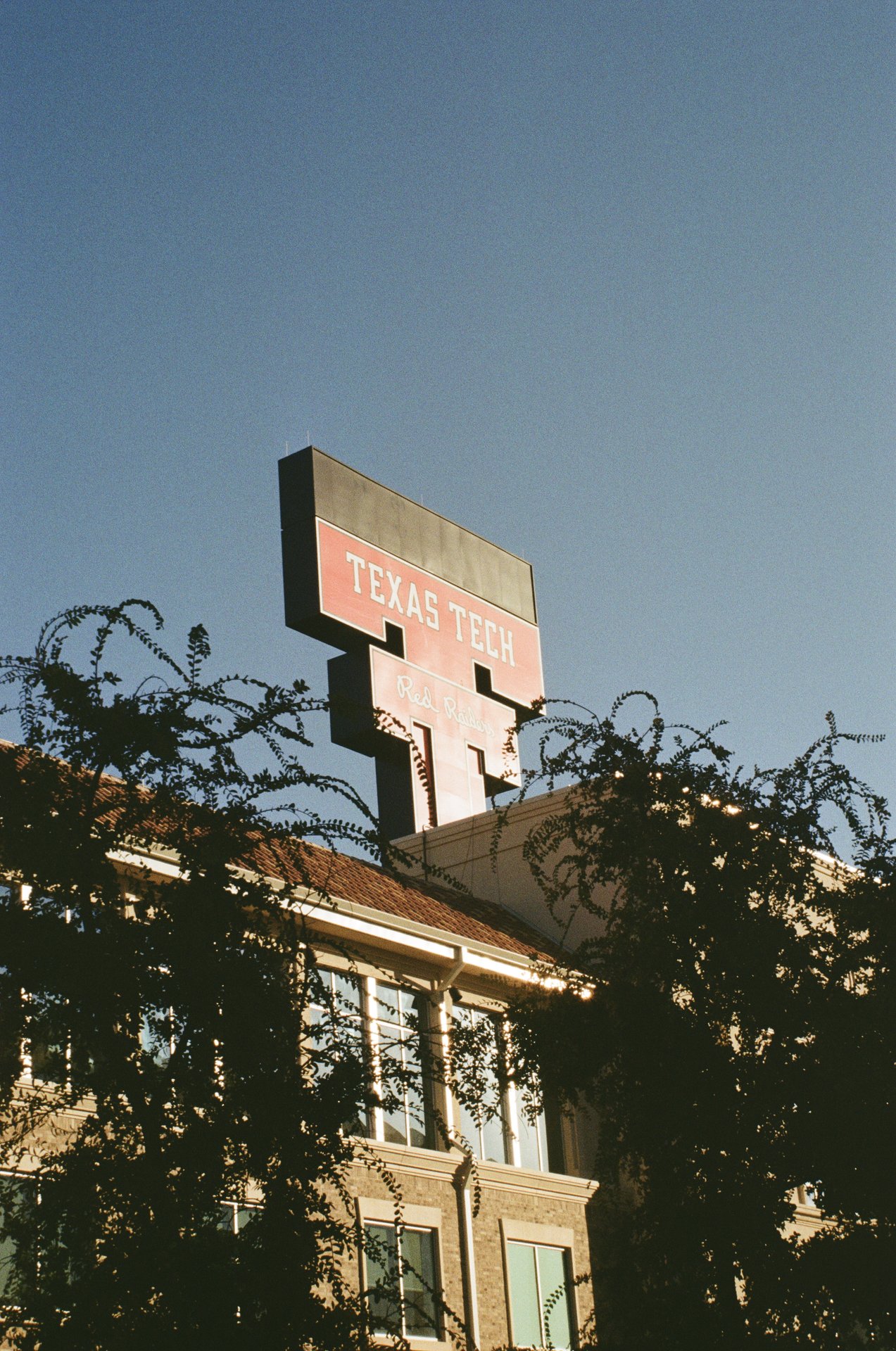 Texas Tech Sign Behind Trees